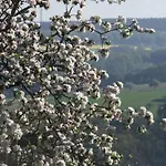 Hochwald Beuren (Trier-Saarburg)