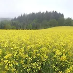 Feriehus Hochwald