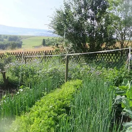 Hochwald * Prosterath