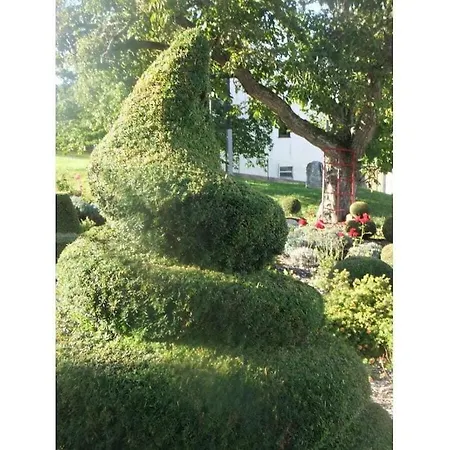 Casa de Férias Hochwald *