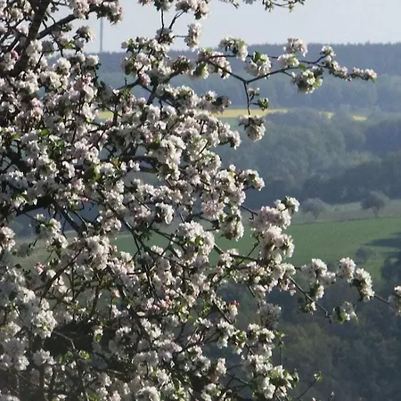 Hochwald Beuren (Trier-Saarburg)