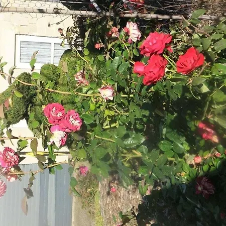 Hochwald * Beuren (Trier-Saarburg)