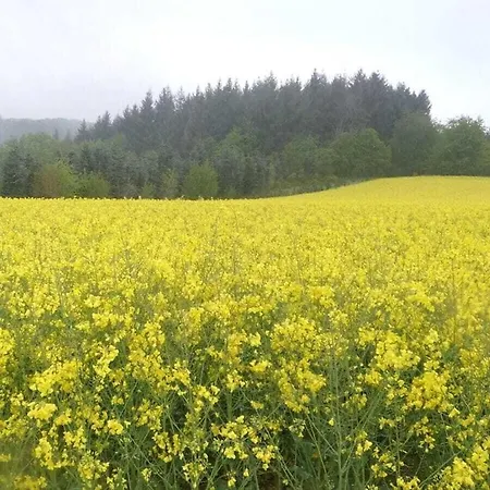 Casa de Férias Hochwald