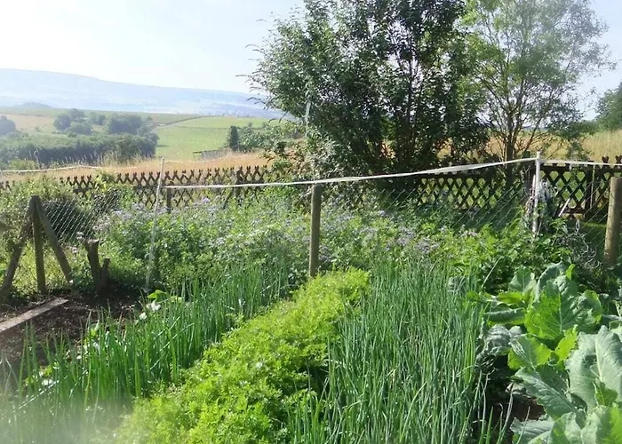 Hochwald * Beuren (Trier-Saarburg)
