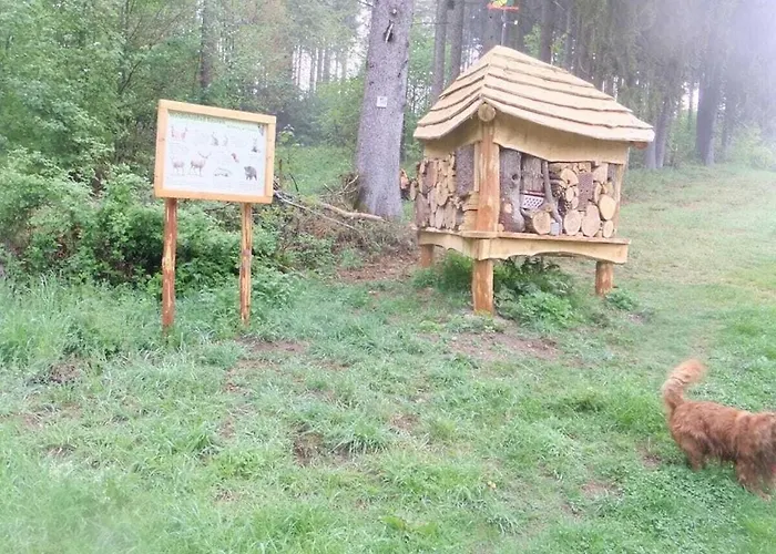 Hochwald * Beuren (Trier-Saarburg)