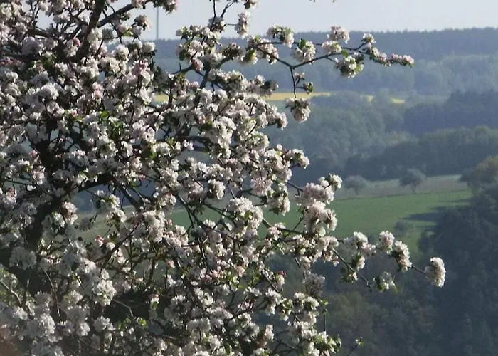 Hochwald Beuren (Trier-Saarburg)