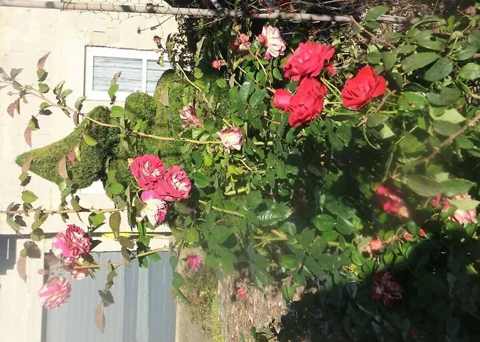 Hochwald * Beuren (Trier-Saarburg)